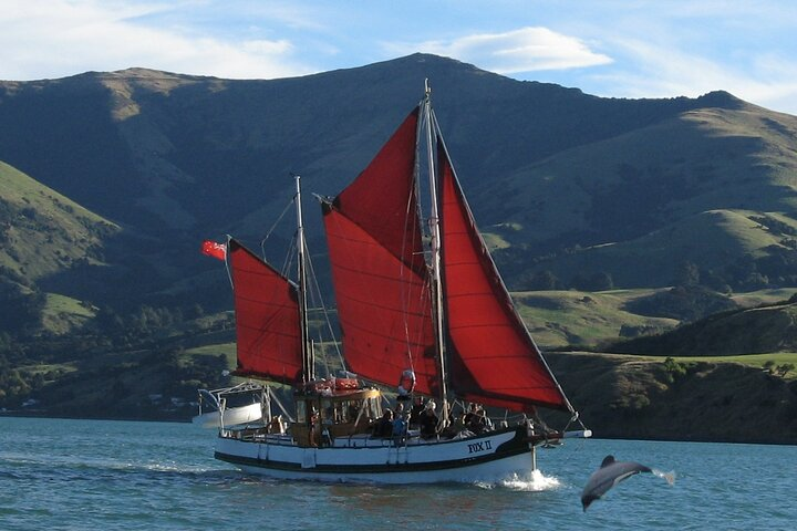 Akaroa Fox 2 Sailing and Wildlife Tour - Photo 1 of 6